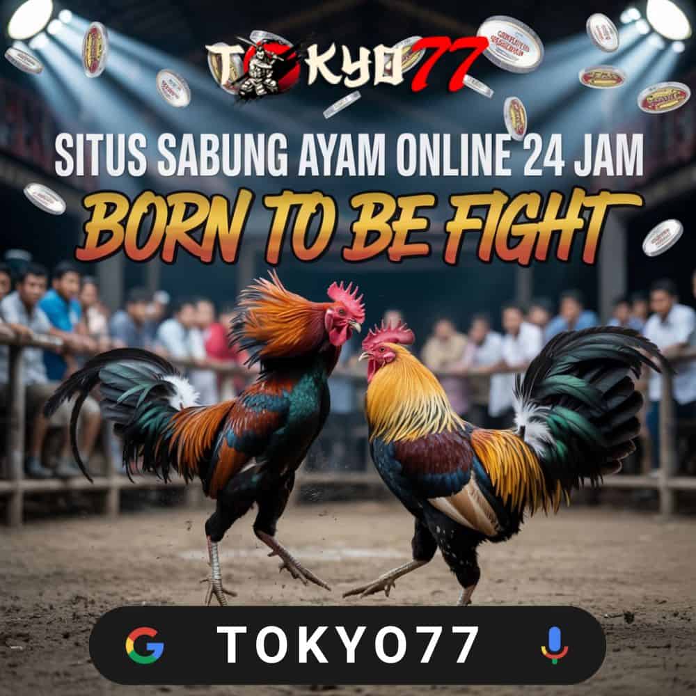 Slot777 Mechanics: Understanding the Rhythm Behind Each Spin